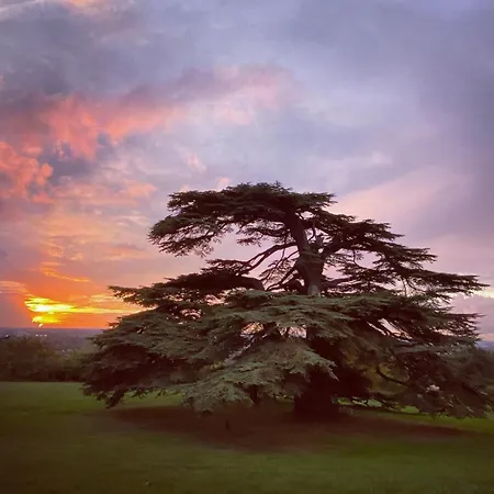 Chateau Gassies Casa de Férias