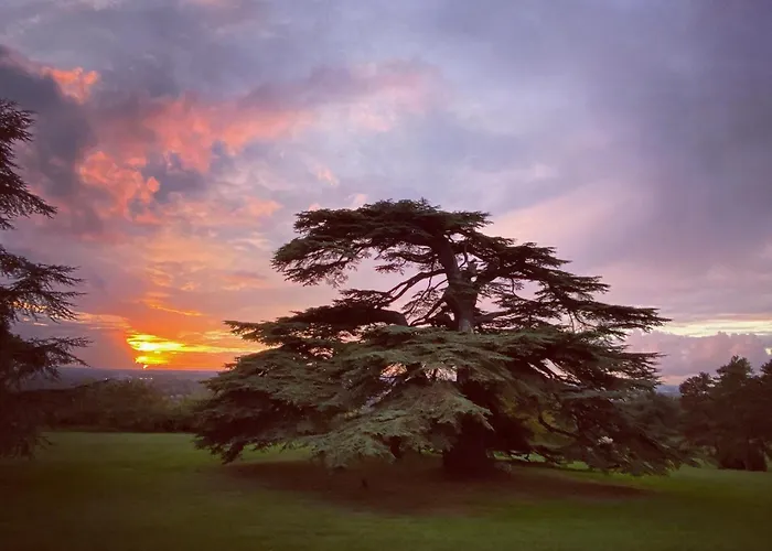 Chateau Gassies بيت للعطل