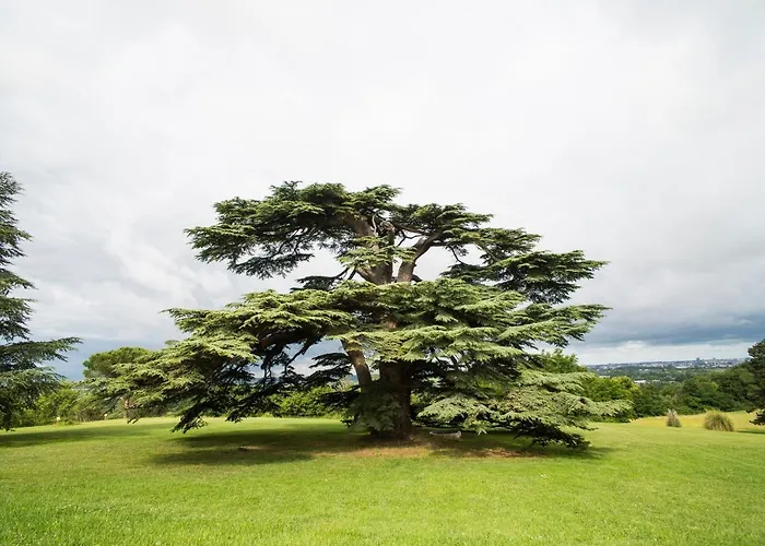 Chateau Gassies * Latresne